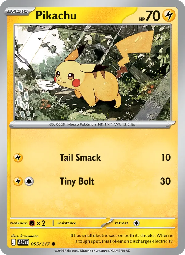 Carta Pikachu usada como exemplo de identificação.